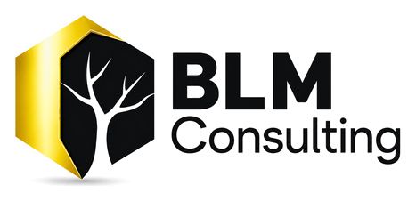 Logo BLM Consulting